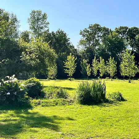 Maison De Maitre Au Calme Avec Piscine 18 Couchages Holiday home