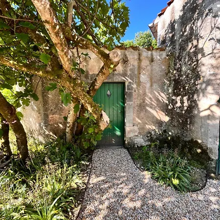 Holiday home Maison De Maitre Au Calme Avec Piscine 18 Couchages Vouhe (Charente-Maritime)